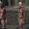 Video: Female Armour Only Covers The... Shiny Bits