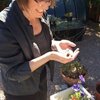 Video: The Unlikeliest Friendship Ever! Fiona And Her Bumblebee 3