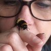 Video: The Unlikeliest Friendship Ever! Fiona And Her Bumblebee 6