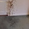 Video: The World Has Officially Gone Bat Sh*t Crazy! 6