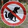 Video: The World Has Officially Gone Bat Sh*t Crazy! 9