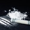 Eels Are Getting High On Your Cocaine Stash 2