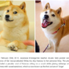 The Faces Behind These Famous Memes Are All Grown Up! 7