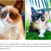 The Faces Behind These Famous Memes Are All Grown Up! 12