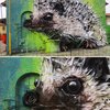 Street Artist Turns Rubbish into Street Art – Meet Bordalo II 12