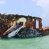 Street Artist Turns Rubbish into Street Art – Meet Bordalo II 8
