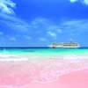 WFH... in Bermuda!