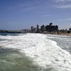 Black Mamba Found On Durban Beach