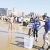 Black Mamba Found On Durban Beach