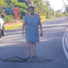Huge Snake Causes Massive Traffic Jam While Crossing The Road