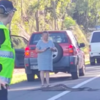 Huge Snake Causes Massive Traffic Jam While Crossing The Road