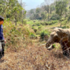 Heartwarming Moment As Elephant Recognises Vet Who Treated Him 12 Years Ago