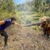 Heartwarming Moment As Elephant Recognises Vet Who Treated Him 12 Years Ago