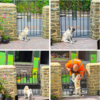 Sincere Photos Proving What True Love And Support Looks Like