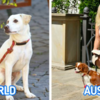 Unusual Facts About Austrian Life That Confuses Newcomers