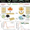 Scientists Invents Flat Pasta That Turns Into 3D Shapes When Cooked