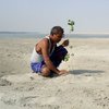 Man Plants Trees For 40 Years On Sandy Barren Island Which Is Now A Giant Forest