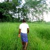 Man Plants Trees For 40 Years On Sandy Barren Island Which Is Now A Giant Forest