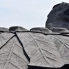 Sculptor Takes 10 Years To Complete World's Largest Bird Sculpture In India