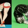 Funny Cats Poses Like Pin Up Girls