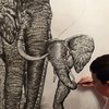 15-Year-Old Artist Draws Detailed Animal Drawings From Memory