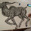 15-Year-Old Artist Draws Detailed Animal Drawings From Memory