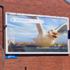 Google Buys Woman's Perfectly Timed Photo Of A Seagull Eating A Fry For Campaign