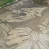 Woman Transforms Driveway Into Stunning Art With Only a Power Washer