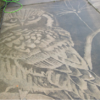 Woman Transforms Driveway Into Stunning Art With Only a Power Washer