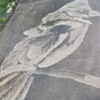 Woman Transforms Driveway Into Stunning Art With Only a Power Washer