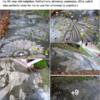 Woman Transforms Driveway Into Stunning Art With Only a Power Washer