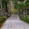 Japan's 'Tree Burials' Are Becoming The New Eco-Friendly Alternative Traditional Gravesites