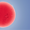 Astronomy Photographer of the Year Contest Finalists Give An Exceptional Glimpse Of The Universe