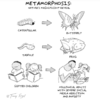 What Your Coffee Preparation Says About You – According To This Funny Comic