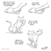 What Your Coffee Preparation Says About You – According To This Funny Comic