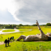 Artist Sculpts Seven Giant Trolls With Recycled Materials In Belgium Forest
