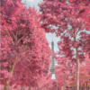 Artist Transforms Paris In Cotton-Candy Wonderland With Surreal Infrared Photos