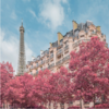 Artist Transforms Paris In Cotton-Candy Wonderland With Surreal Infrared Photos