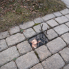 Michigan Artist Turns Sidewalk Defects Into Adorable Chalk Art Characters