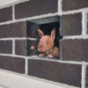 Michigan Artist Turns Sidewalk Defects Into Adorable Chalk Art Characters
