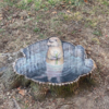 Michigan Artist Turns Sidewalk Defects Into Adorable Chalk Art Characters