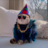 Fashionable Feline Becomes Instagram Model After a Hard Life On The Streets Of Dubai