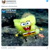 Deep Sea Expedition Leads To Finding Real-Life SpongeBob And Patrick In Atlantic Ocean