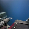 New Red Jellyfish Species Discovered In The Deep Sea During NOAA Expedition