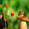 Photographer Reveals Whole New Intimate Side Of The Life Of Snails With Macro Photography