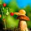 Photographer Reveals Whole New Intimate Side Of The Life Of Snails With Macro Photography
