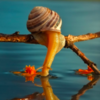 Photographer Reveals Whole New Intimate Side Of The Life Of Snails With Macro Photography