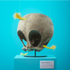 Artist Create “Cartoon Fossils” Of Famous Pop Culture Characters