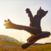 Photographer Takes Perfectly-Timed Photos Showing Ordinary Cats Turning Into Ninja Cats
