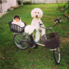 Japanese Grandmother Captures Adorable Bond Between 1-Year-Old Girl And Giant Poodle